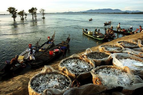 croisière delta du mékong - chau doc